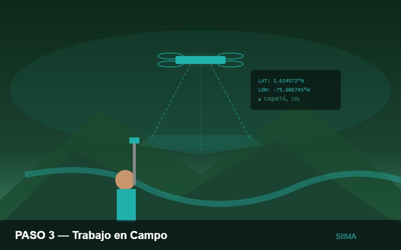 Trabajo en campo